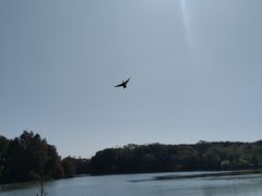 -海珠湖公园