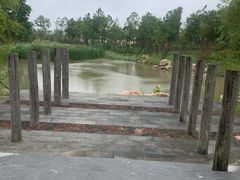 -春花秋色城市公园