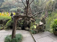 -成都杜甫草堂博物馆