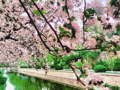 -海棠花溪(元大都城垣遗址公园)