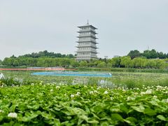 -西安世博园