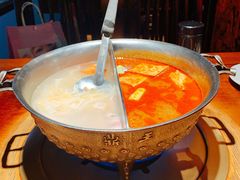 -鼎王麻辣锅(七贤店)