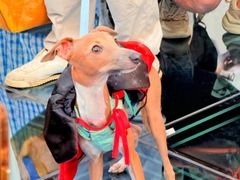 -华谊兄弟（长沙）电影小镇