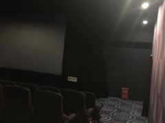 -华美影城(马栏广场店)