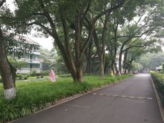 -中国人民解放军联勤保障部队第九〇三医院(九里松院区)