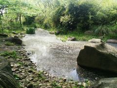 -新江湾城公园