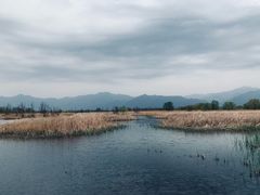 -野鸭湖国家湿地公园