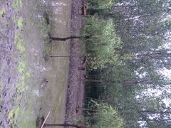 iphone_upload_pic-溱湖国家湿地公园