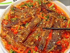 -欧记大排档·景德菜(上海首店)