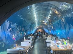 -涛·海底餐厅·美人鱼·自助餐·海底隧道(三亚海棠湾洲际度假酒店)