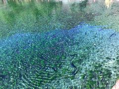 -丽江玉水寨