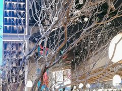 -桂满陇·海市蜃楼·黑金(国金店)