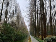 -上海怡沁园度假酒店