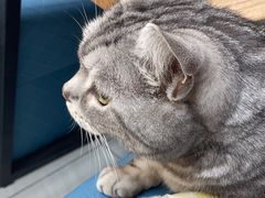 -美联众合动物医院·24h京西诊疗中心