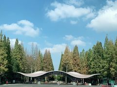 -东平国家森林公园