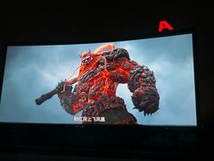 -枫花园汽车电影院(朝阳公园店)