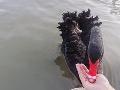 -上海野生动物园