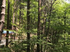 -洛阳白云山景区