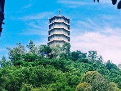 -深圳国际园林花卉博览园