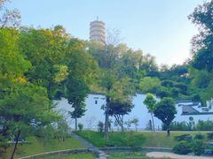 -深圳国际园林花卉博览园