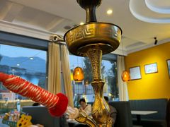 -Sultan pakistan苏单巴基斯坦