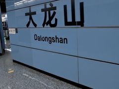 -大龙山(地铁站)