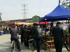 -中环花鸟鱼虫市场