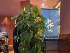 -和牛食堂•BISTRO(广州首店)