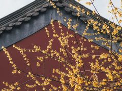 -钱王祠