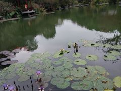 -云溪植物园