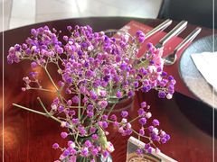 -IL Forno 意坊·意大利餐厅(花园店)