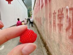 -新安江山水画廊风景区