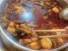 -黑竹香鸡(营和巷店)