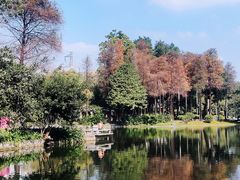 -晓港公园