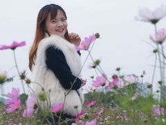 -洋湖国家湿地公园