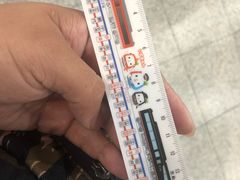 -伊豆观海列车