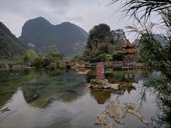 -靖西鹅泉风景区