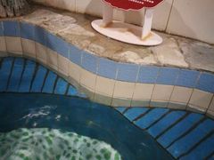 -兴芮温泉度假区