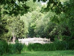 -上海共青森林公园