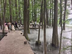 -东湖落雁景区