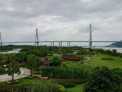 -芒洲湿地公园