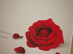 -好利来(兴华街店)