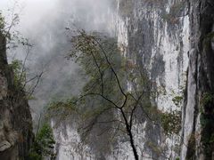 -百色大石围天坑群