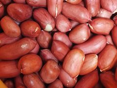 -大连熟食品交易中心