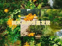 -上海共青森林公园