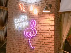 -Coco Tam’s