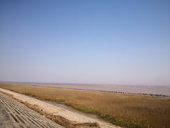 -南汇嘴观海公园