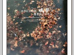 -颐和园