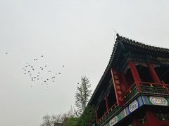 -荣国府