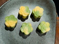 -庐灶江南·江南菜·四合院Bistro(东直门雍和宫·原华侨宾馆店)